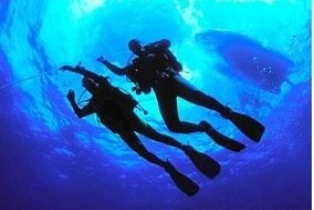 Corallonero Diving