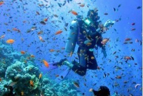 Corallonero Diving Ischia