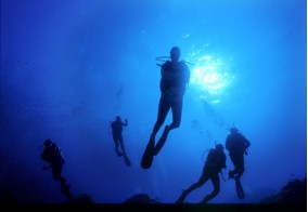 Diving "Corallo Nero"